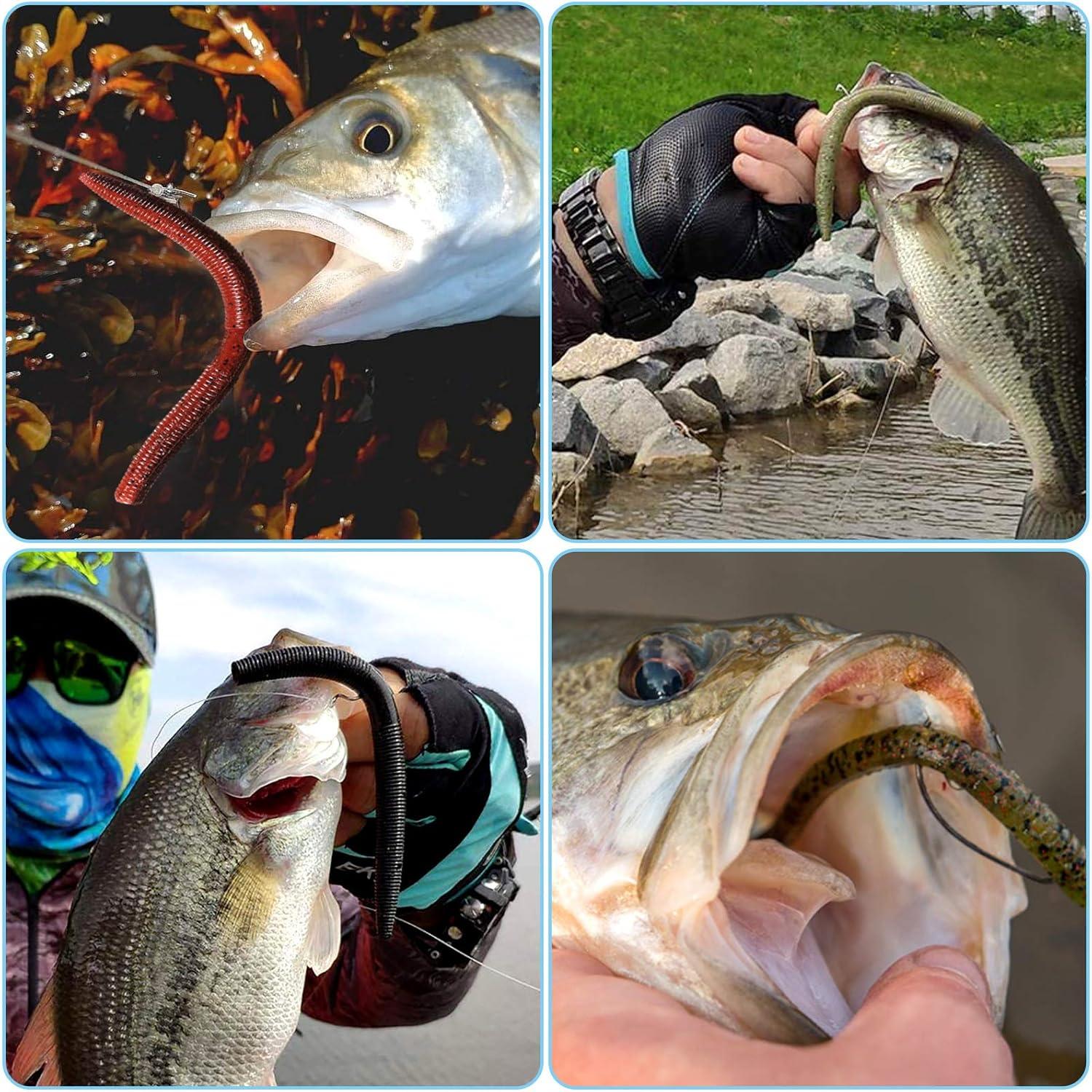 image:imagePLUSINNO Wacky Worm Fishing Lure Kit Soft Plastic Fishing Lures Grub Baits Hook Wacky Rig Bass Trout Fishing Worms Lures wTackle Box133PCS 55 Wacky Worm Fishing Lure Kit