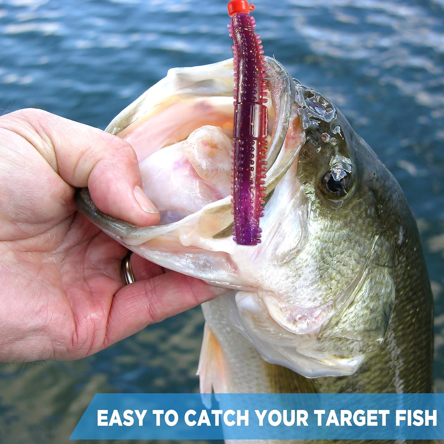 image:imagePLUSINNO Wacky Worm Fishing Lure Kit Soft Plastic Fishing Lures Grub Baits Hook Wacky Rig Bass Trout Fishing Worms Lures wTackle Box65PCS Stick Worms Ned Rig Kit